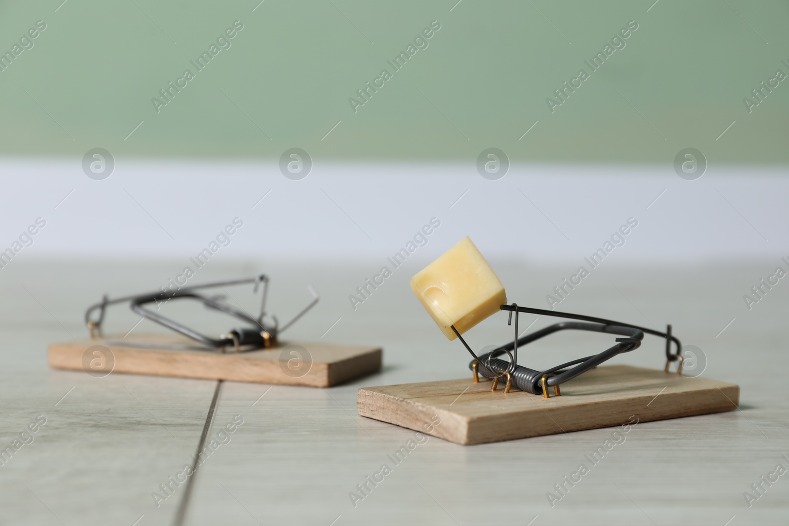 Photo of Spring-loaded bar mousetraps with piece of cheese indoors, closeup