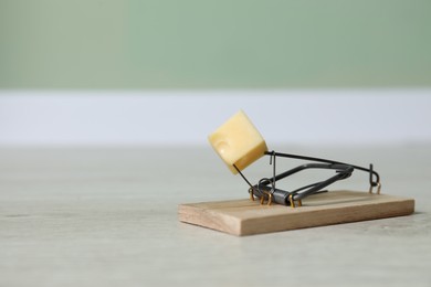 Photo of Spring-loaded bar mousetrap with piece of cheese indoors, space for text