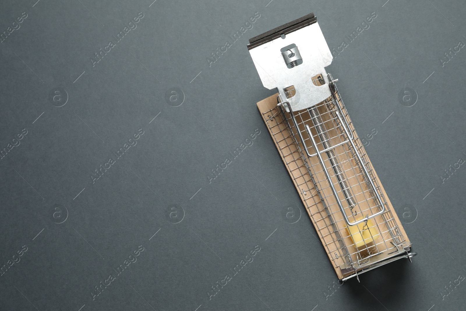 Photo of Metal mouse trap with piece of cheese on gray background, top view. Space for text