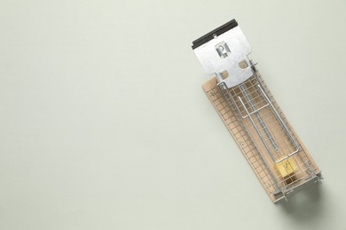 Photo of Metal mouse trap with piece of cheese on light background, top view. Space for text