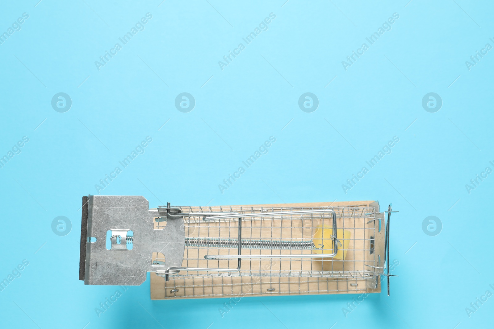 Photo of Metal mouse trap with piece of cheese on light blue background, top view. Space for text