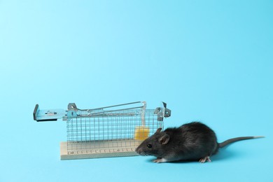 Photo of Rat and metal mouse trap on light blue background