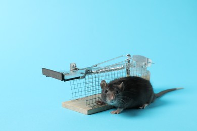 Photo of Rat and metal mouse trap on light blue background