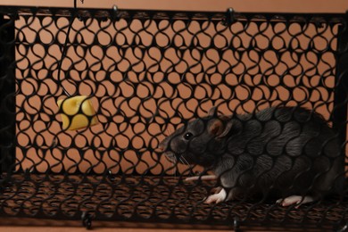 Photo of Rat in black metal mouse trap on brown background, closeup