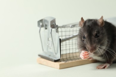 Photo of Rat and metal mouse trap on light background, closeup. Space for text