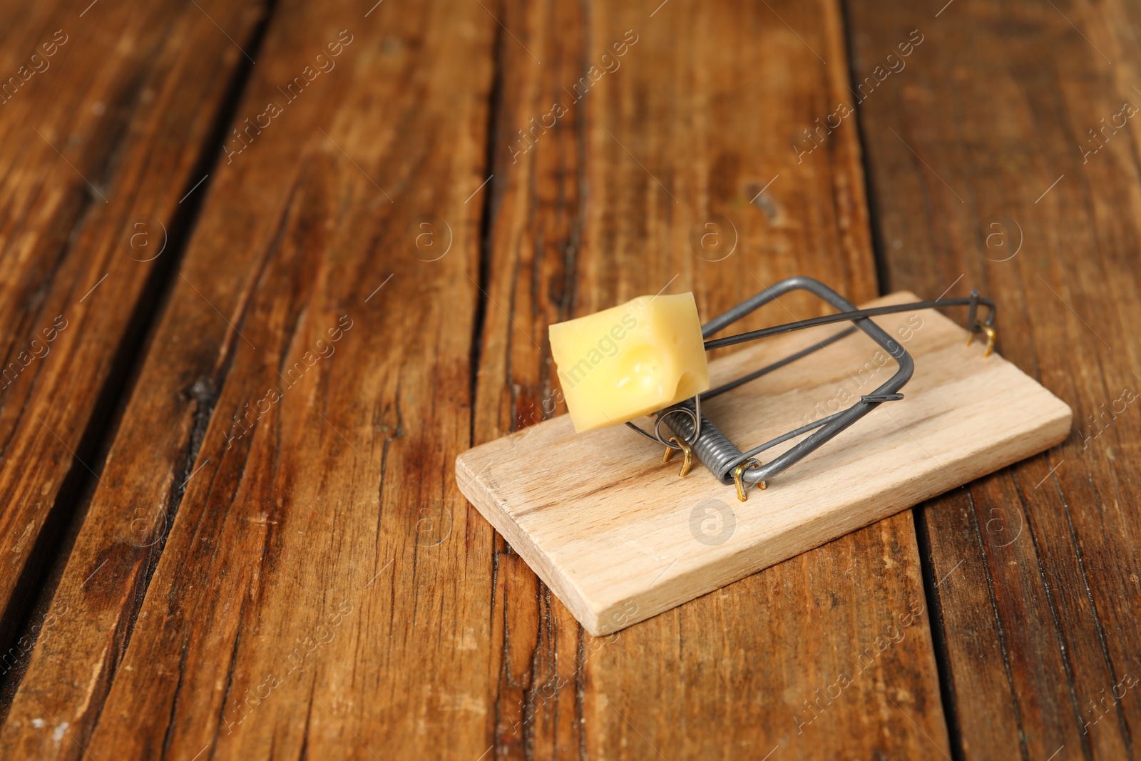 Photo of Spring-loaded bar mousetrap with piece of cheese on floor, space for text