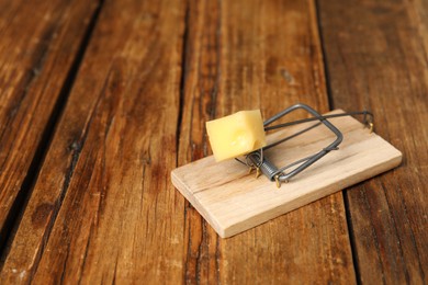 Photo of Spring-loaded bar mousetrap with piece of cheese on floor, space for text