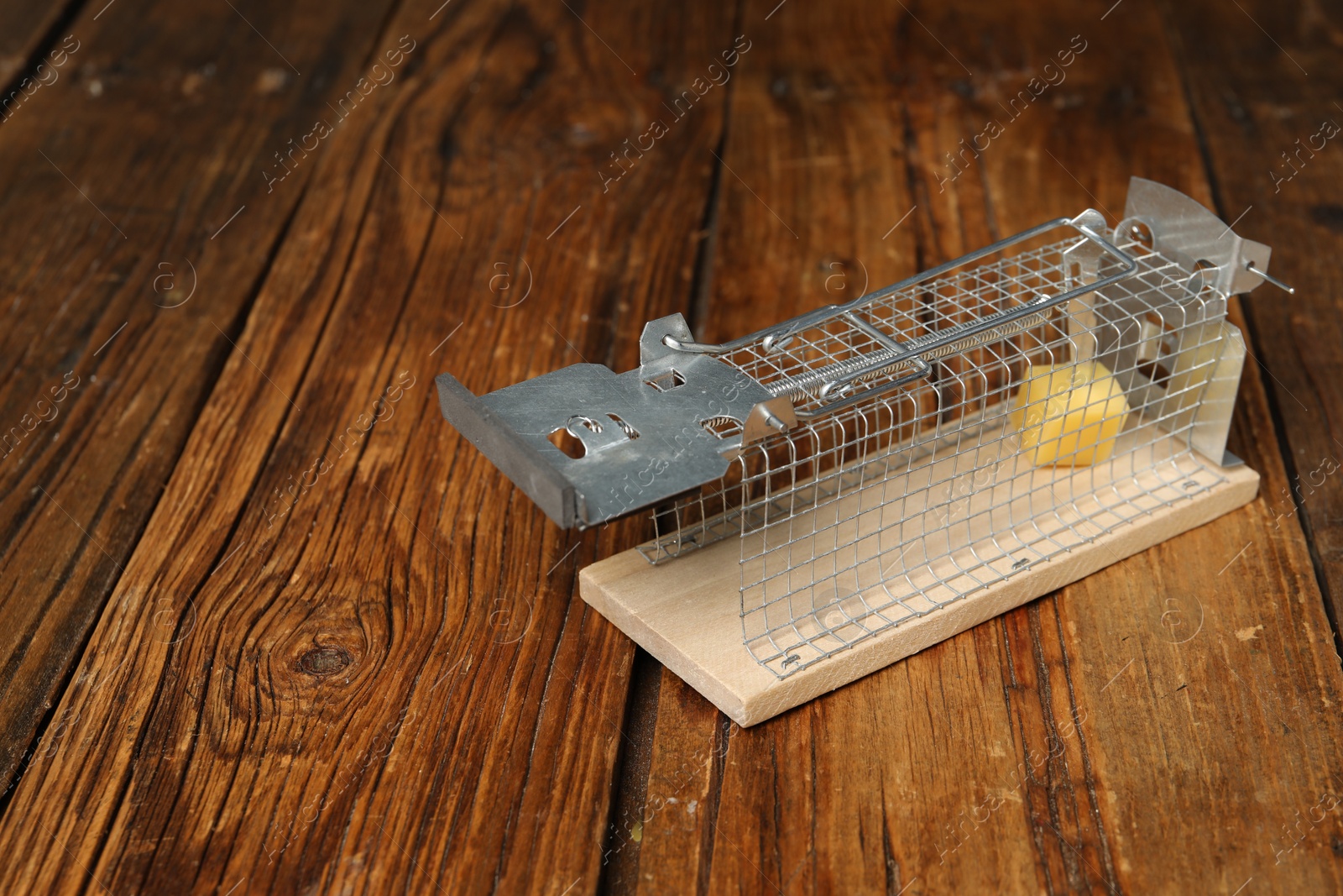 Photo of Metal mouse trap with piece of cheese on floor, space for text