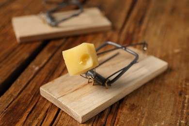 Photo of Two spring-loaded bar mousetraps on floor, closeup