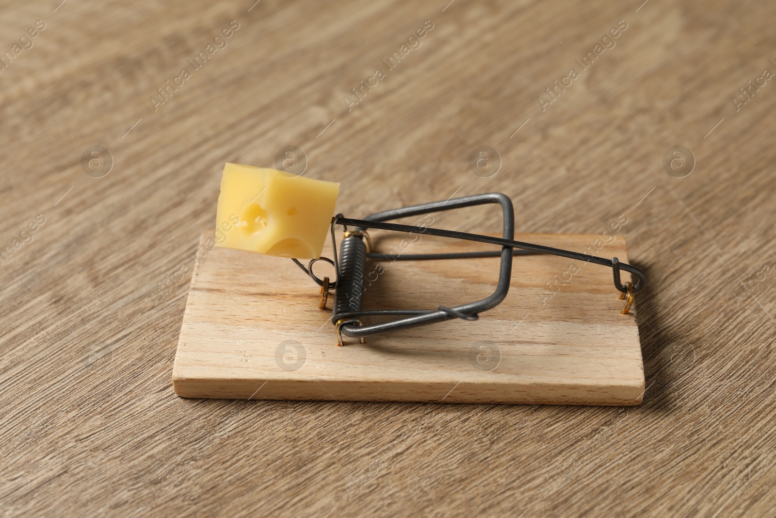 Photo of Spring-loaded bar mousetrap with piece of cheese on floor, closeup