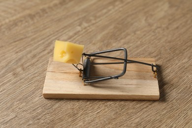 Photo of Spring-loaded bar mousetrap with piece of cheese on floor, closeup