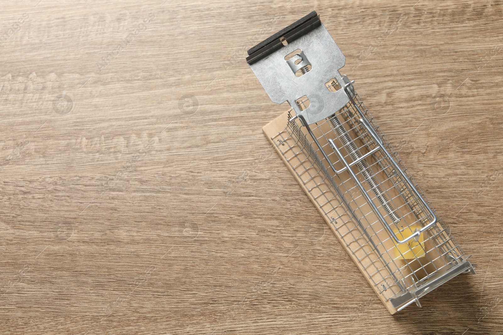 Photo of Metal mouse trap with piece of cheese on floor, top view. Space for text