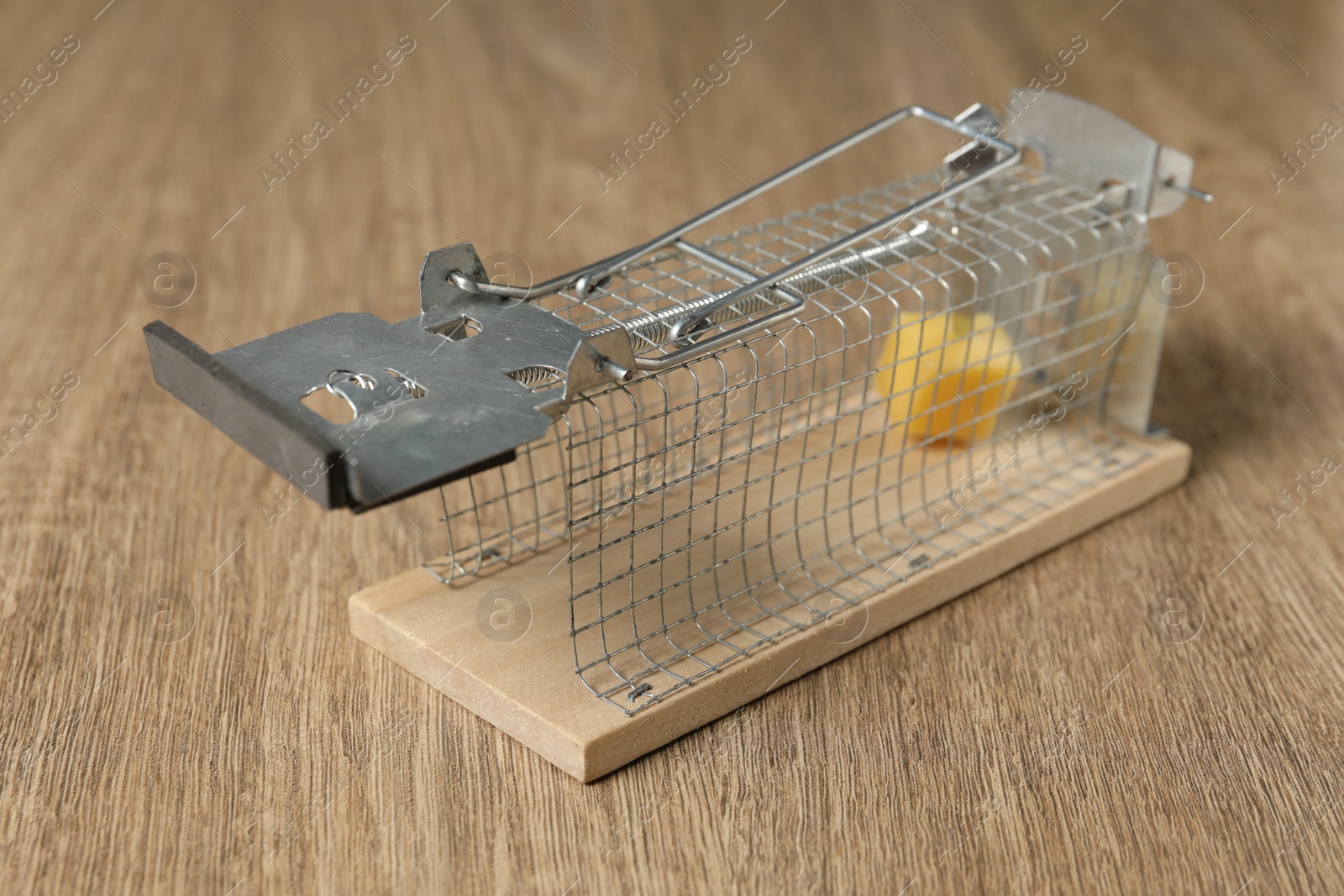 Photo of Metal mouse trap with piece of cheese on floor, closeup