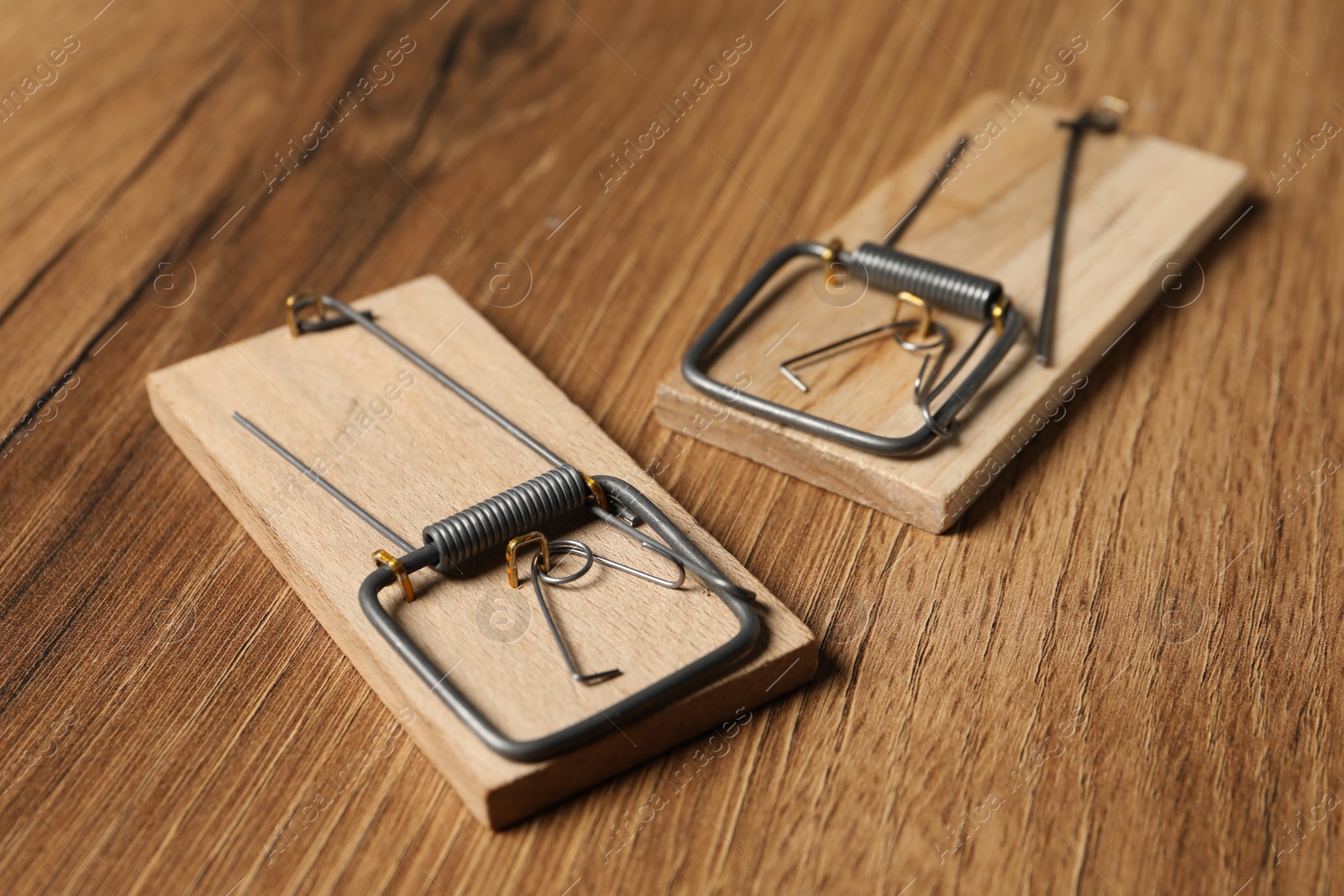 Photo of Two spring-loaded bar mousetraps on floor, closeup