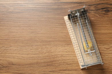 Photo of Metal mouse trap with piece of cheese on floor, top view. Space for text