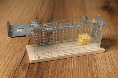 Photo of Metal mouse trap with piece of cheese on floor, closeup