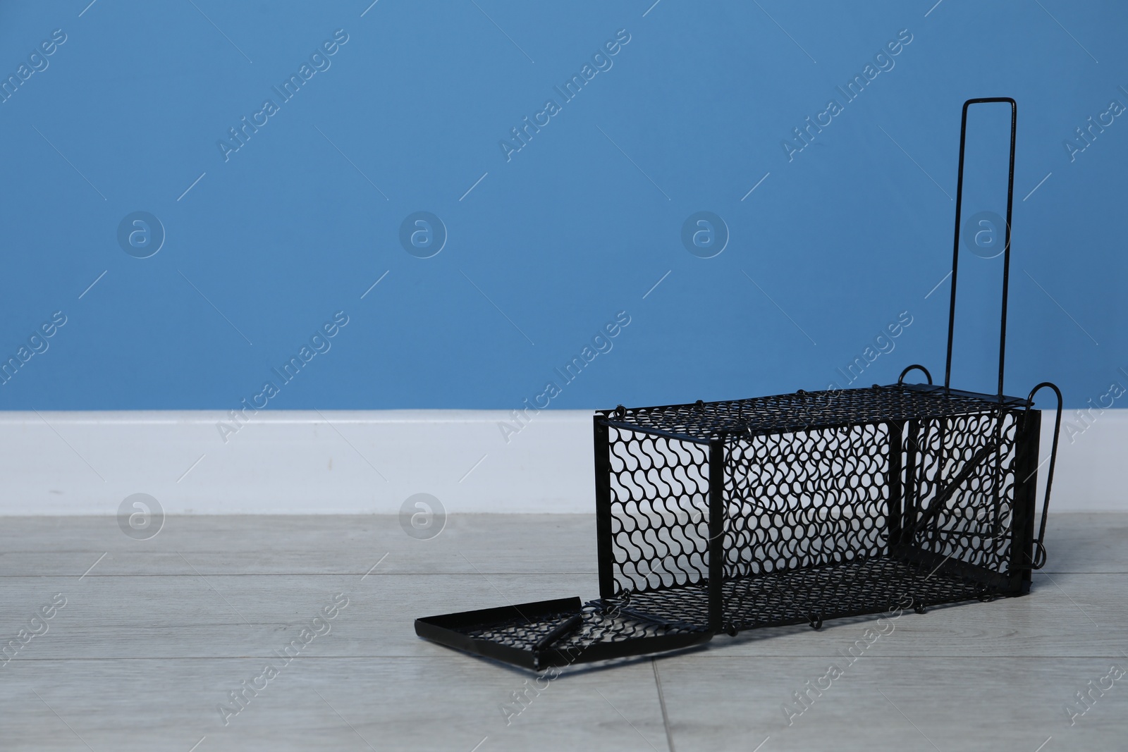 Photo of One metal mouse trap on floor, space for text