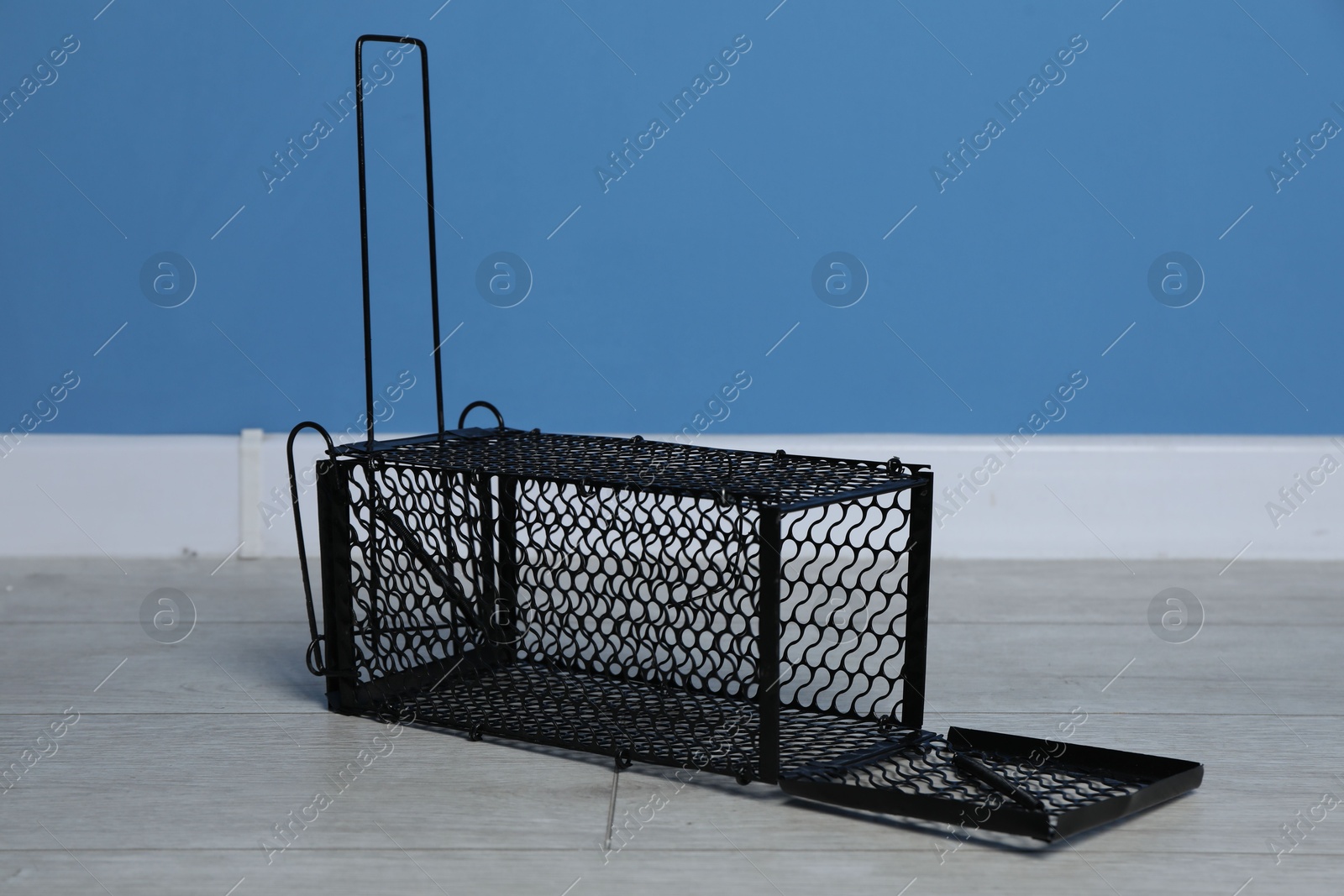 Photo of One metal mouse trap on floor indoors