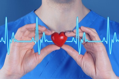 Image of Cardiology. Doctor holding red decorative heart on color background, closeup. Blue heartbeat line