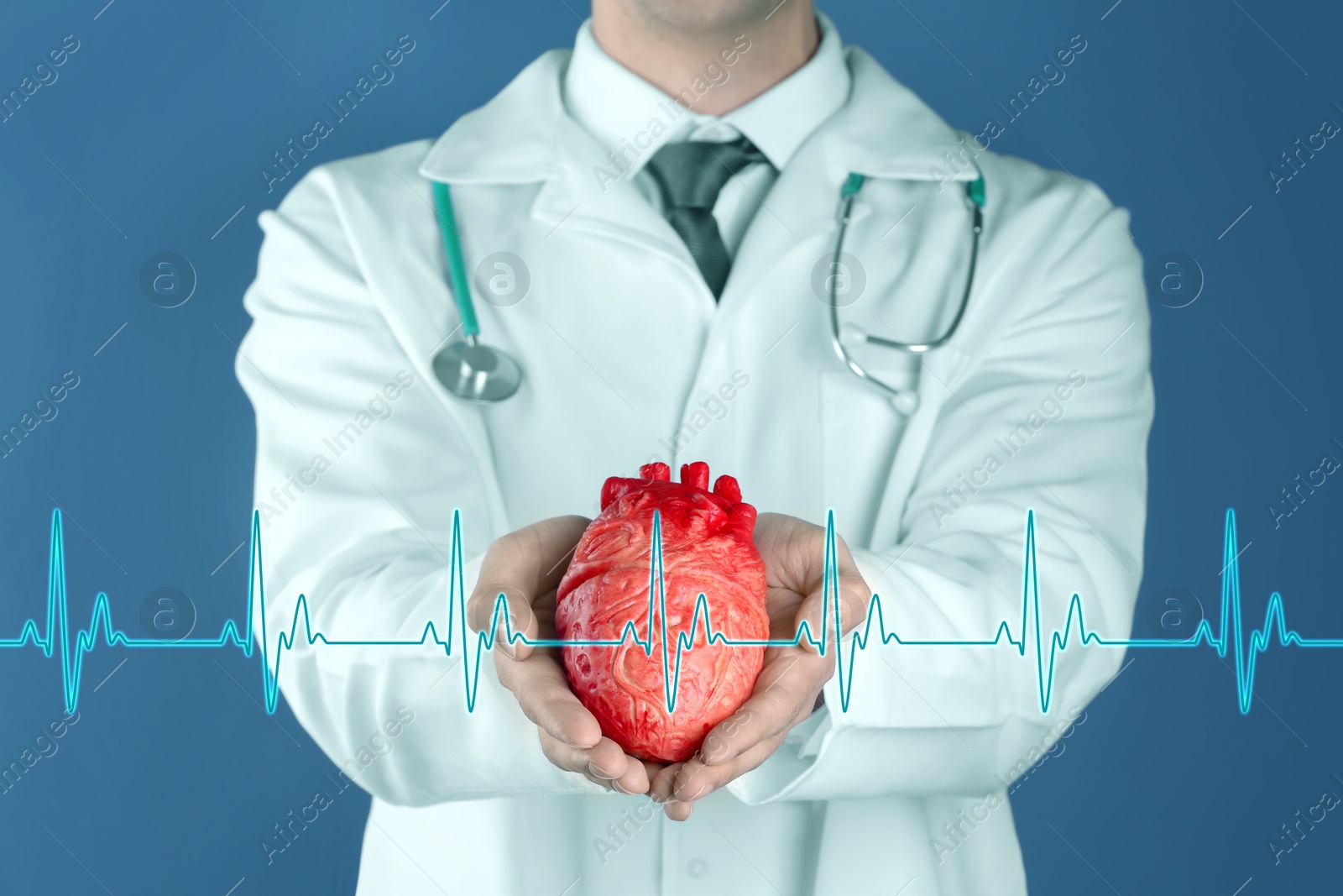 Image of Cardiology. Doctor holding anatomical model of heart on color background, closeup. Blue heartbeat line