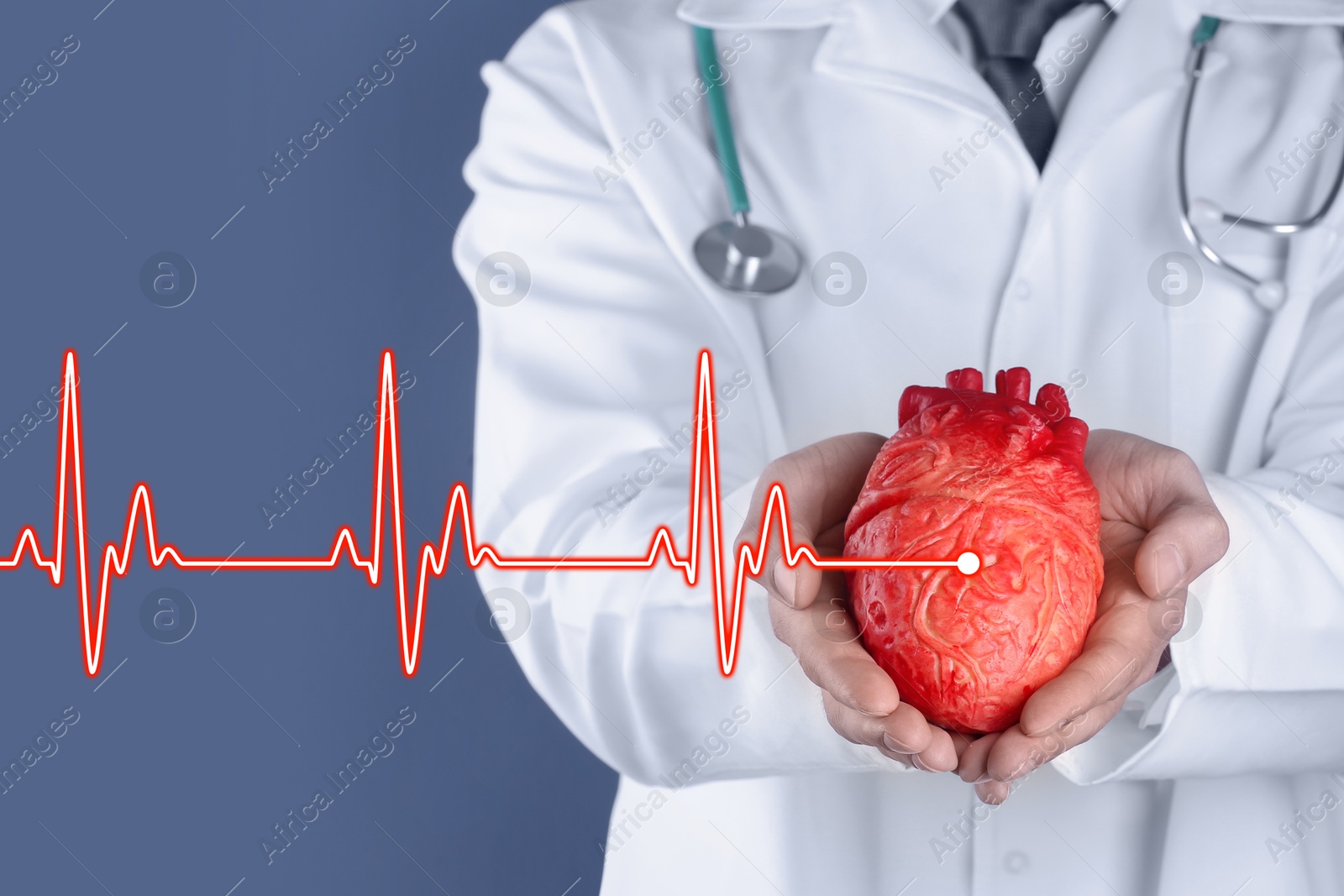 Image of Cardiology. Doctor holding anatomical model of heart on color background, closeup. Red heartbeat line