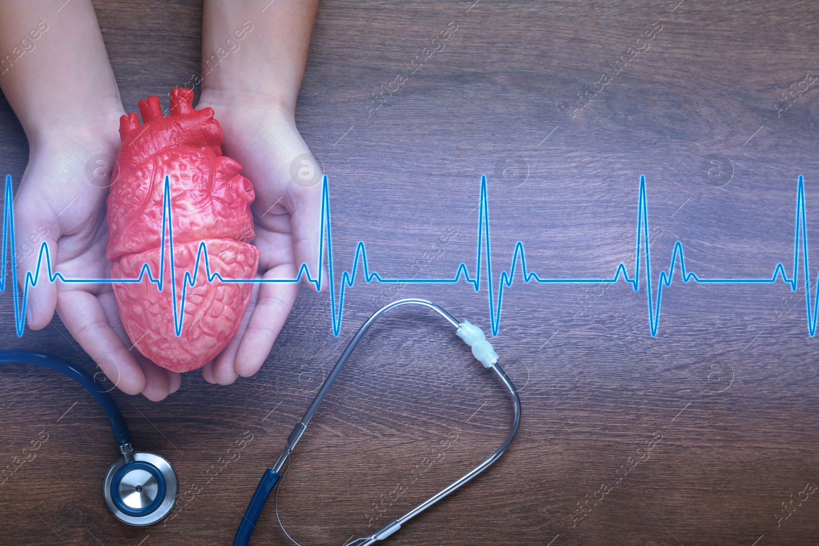 Image of Cardiology. Doctor holding anatomical model of heart on wooden table with stethoscope, top view. Blue heartbeat line