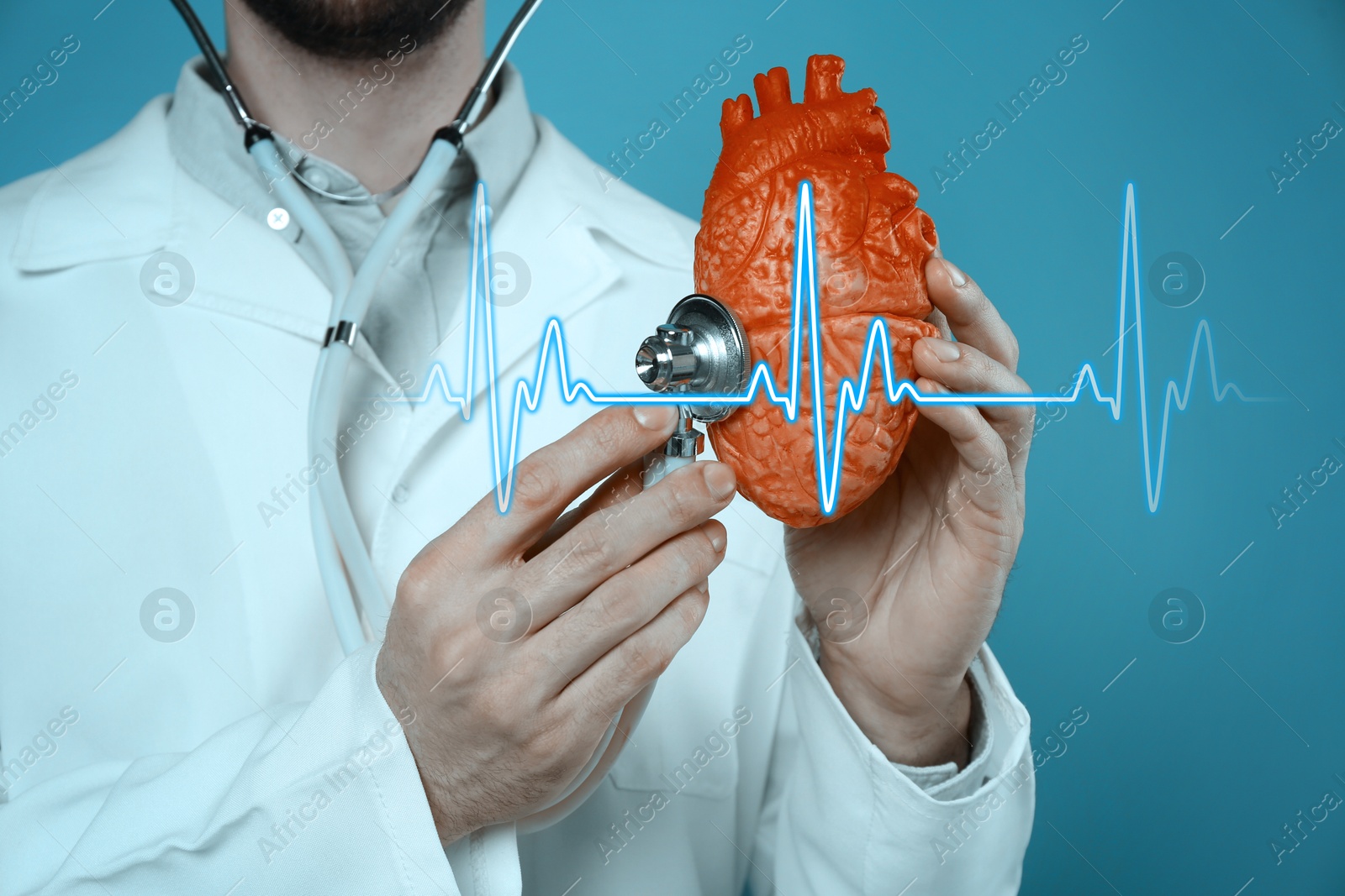 Image of Cardiology. Doctor holding anatomical model of heart and stethoscope on color background, closeup. Blue heartbeat line