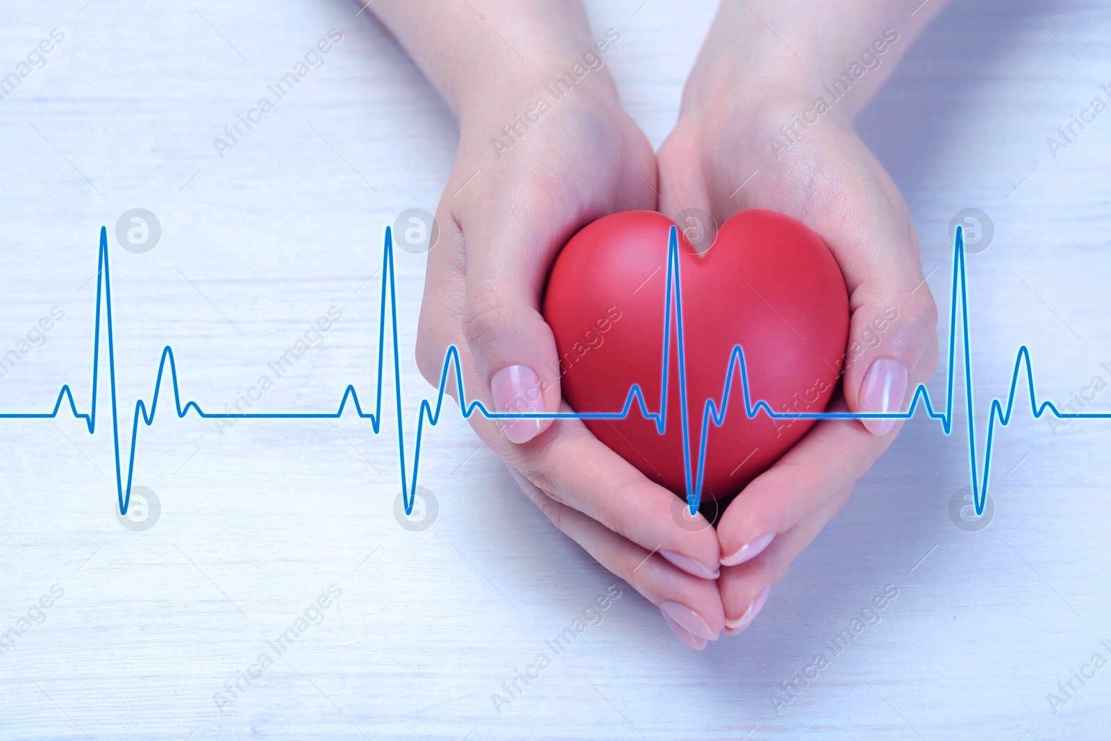 Image of Cardiology. Woman holding red decorative heart on white wooden table, closeup. Blue heartbeat line