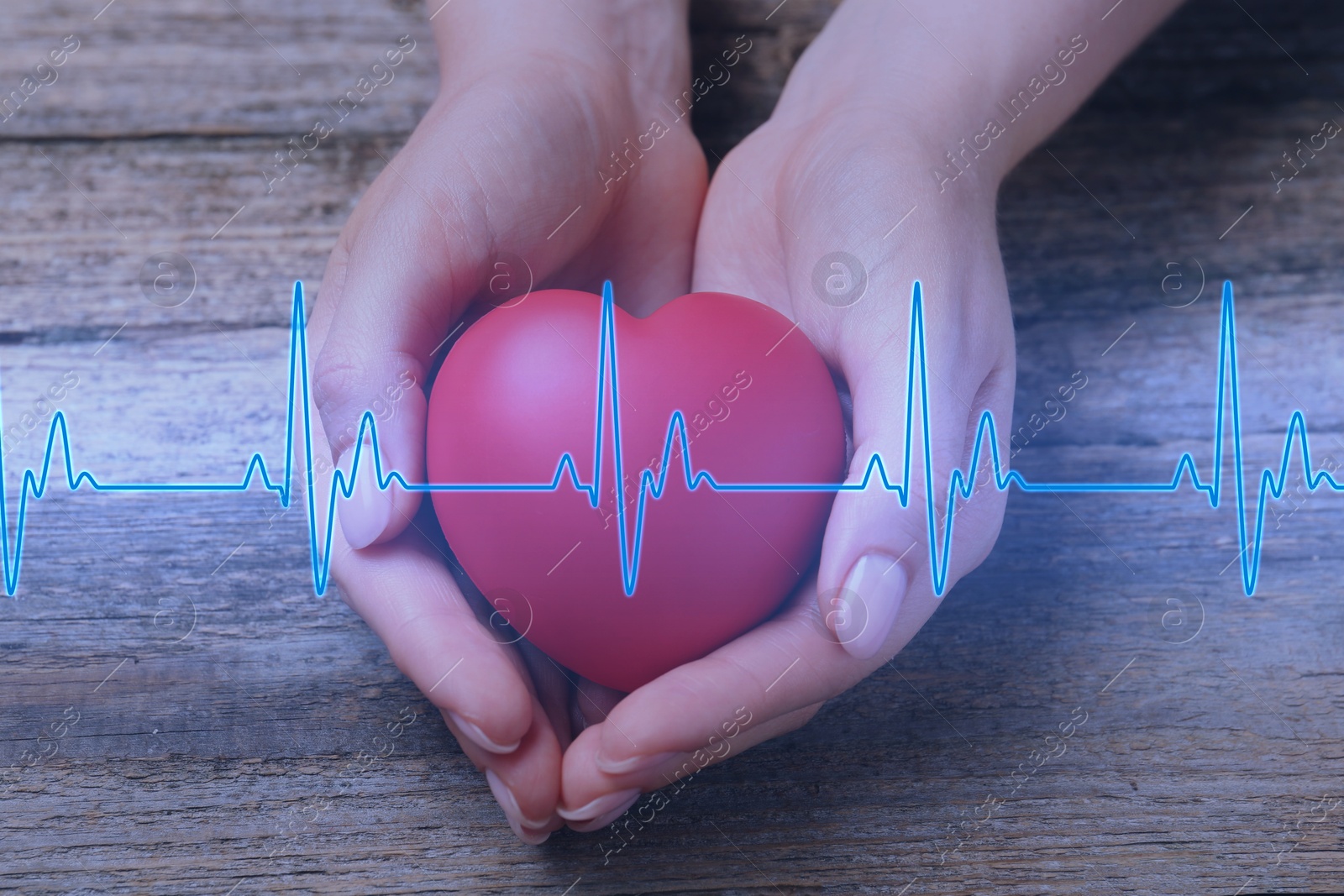 Image of Cardiology. Woman holding red decorative heart on wooden table, closeup. Blue heartbeat line