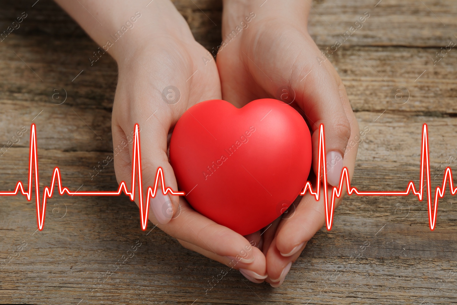 Image of Cardiology. Woman holding red decorative heart on wooden table, closeup. Red heartbeat line