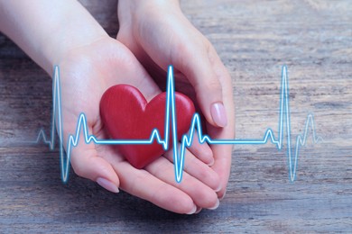 Image of Cardiology. Woman holding red decorative heart on wooden table, closeup. Blue heartbeat line