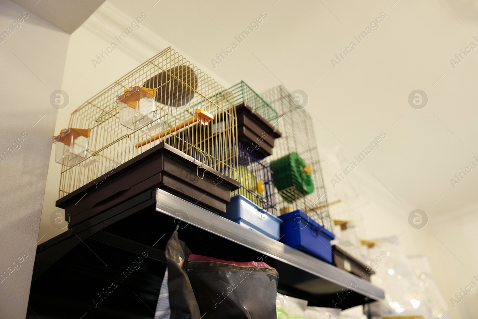 Photo of Bird cages on shelf in pet shop, low angle view