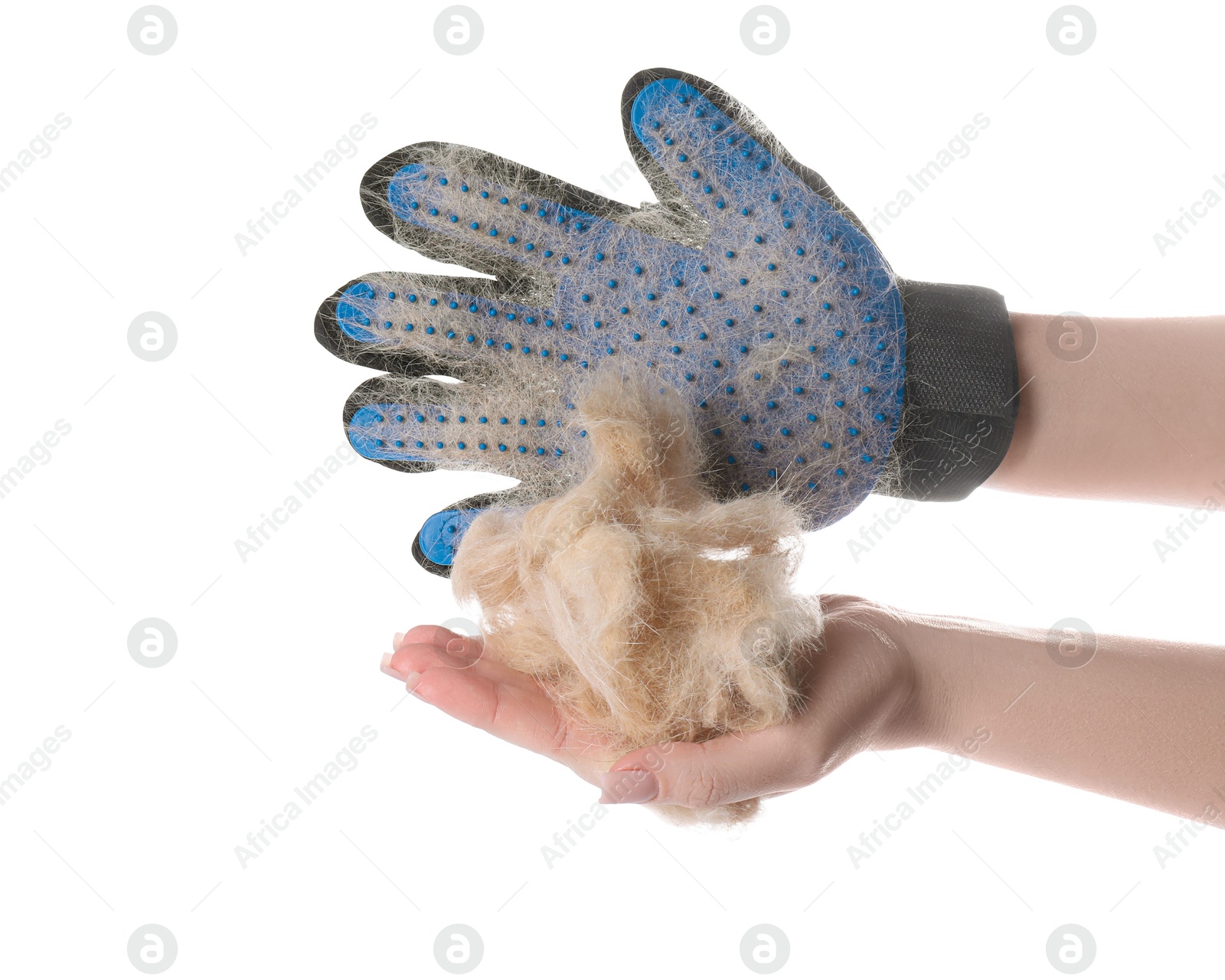 Photo of Woman in grooming glove holding pile of pet's hair on white background, closeup