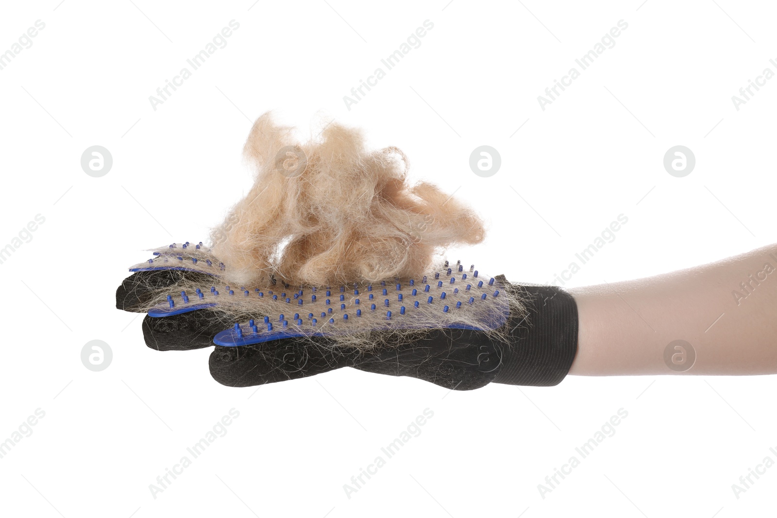 Photo of Woman wearing grooming glove with pet's hair on white background, closeup