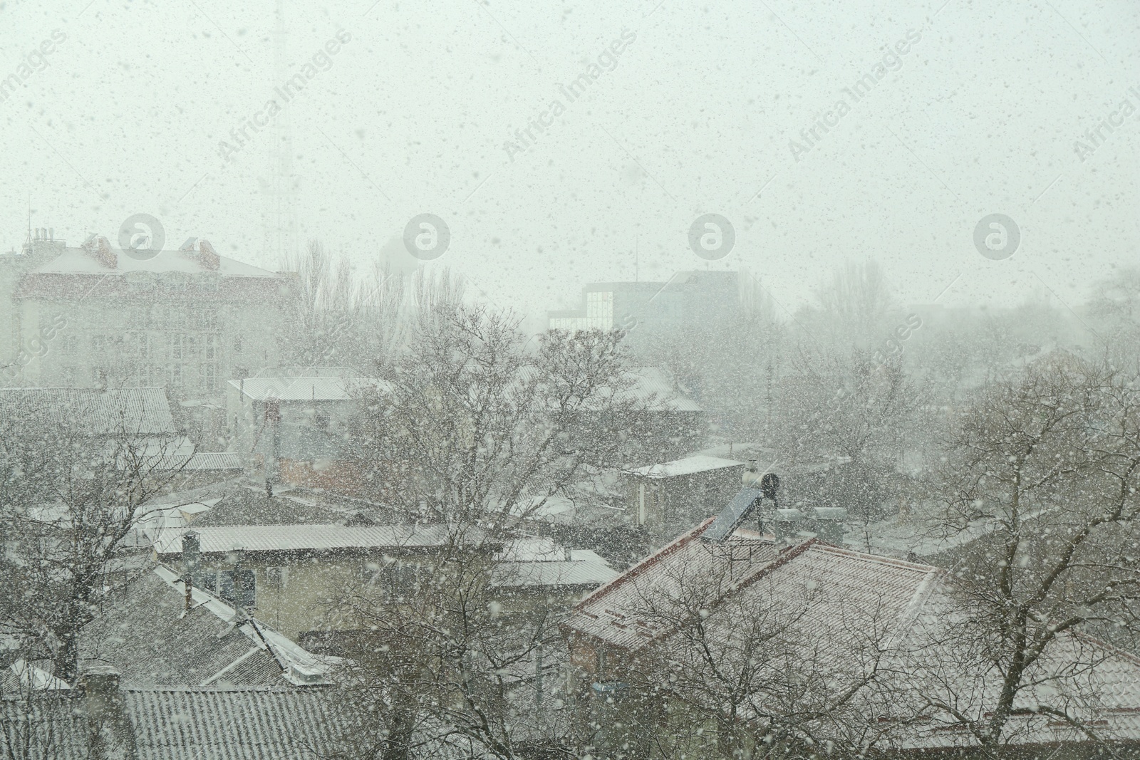 Photo of Buildings and trees under falling snow on city street