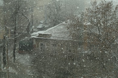 Photo of Buildings and trees under falling snow on city street