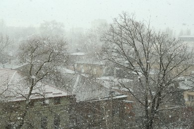 Buildings and trees under falling snow on city street