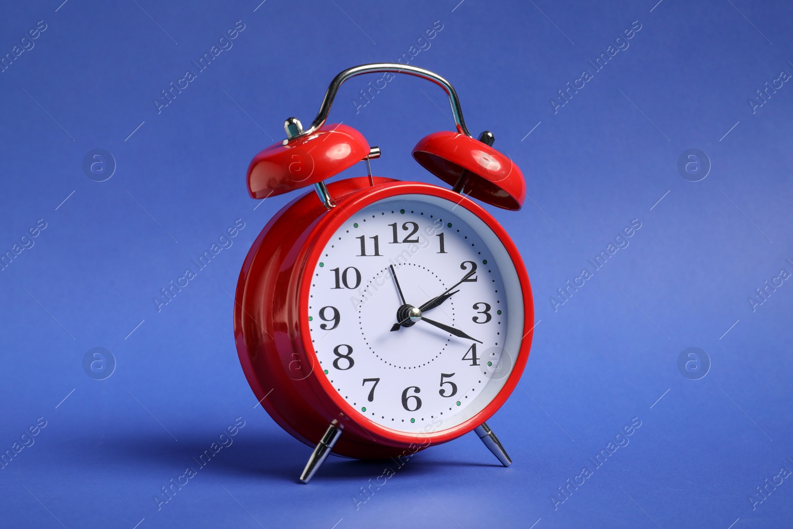 One red alarm clock on blue background Photo of One red alarm clock on blue background