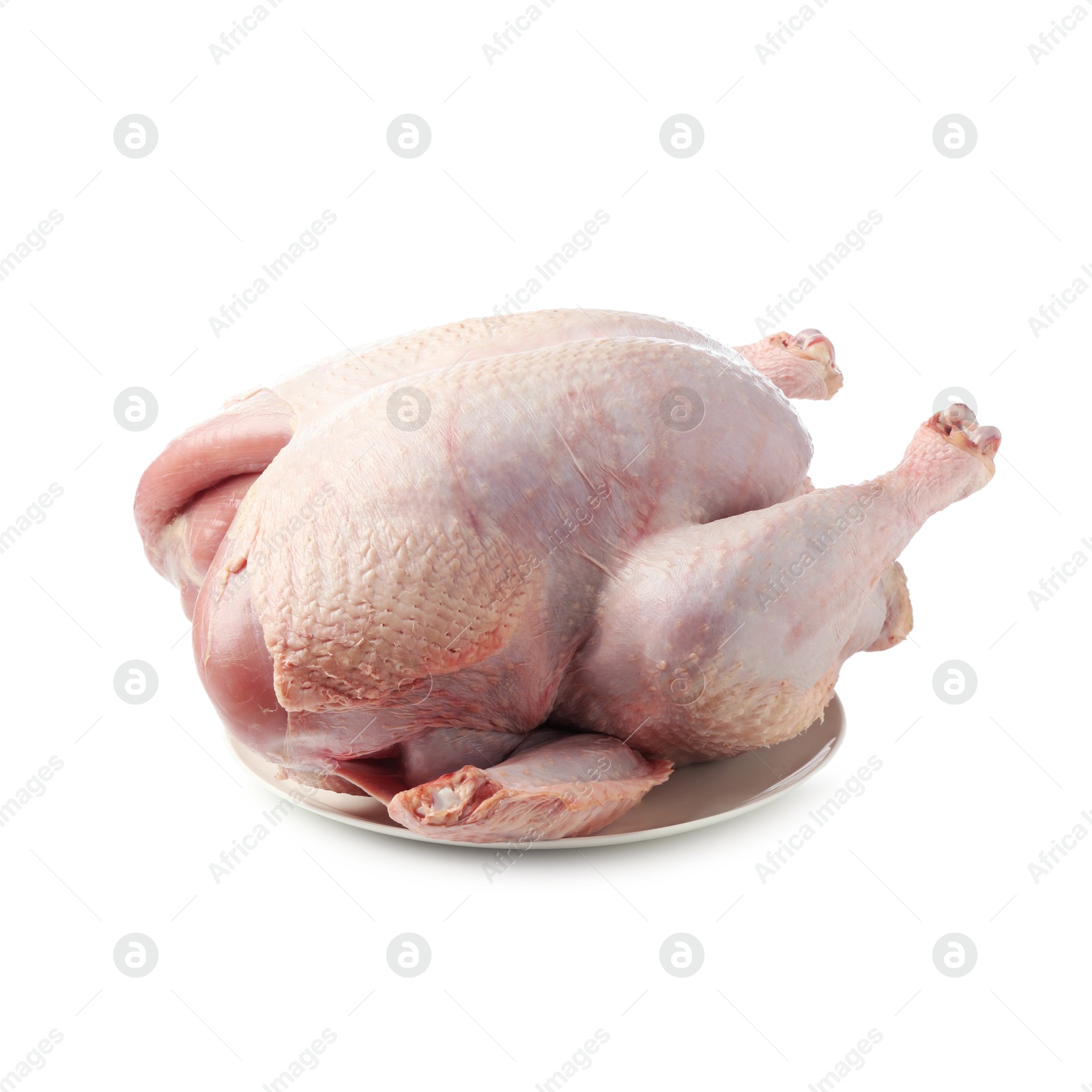 Photo of One whole raw turkey isolated on white