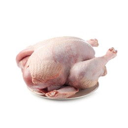 Photo of One whole raw turkey isolated on white