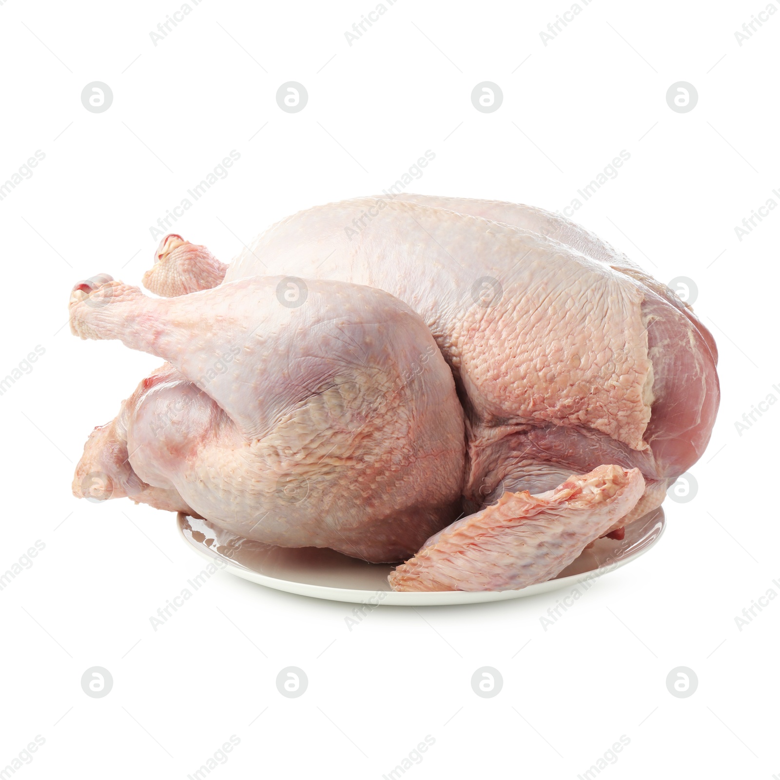 Photo of One whole raw turkey isolated on white