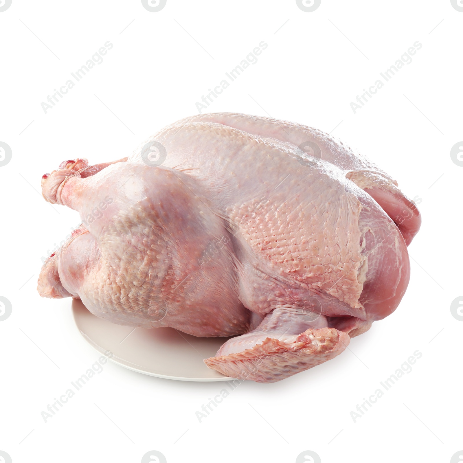 Photo of One whole raw turkey isolated on white