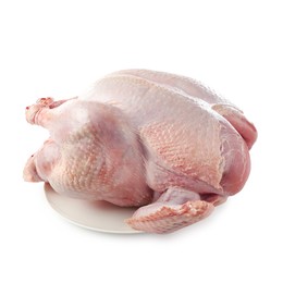 Photo of One whole raw turkey isolated on white