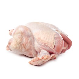 Photo of One whole raw turkey isolated on white