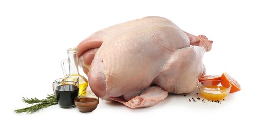 Photo of Whole raw turkey with ingredients isolated on white