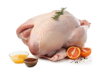 Photo of Whole raw turkey with ingredients isolated on white