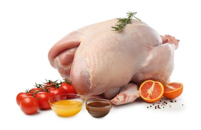 Photo of Whole raw turkey with ingredients isolated on white