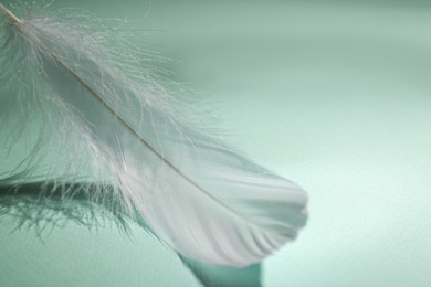 Photo of Fluffy white feather on light turquoise background, closeup. Space for text