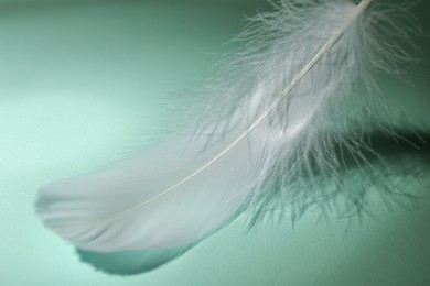 Photo of Fluffy white feather on light turquoise background, closeup