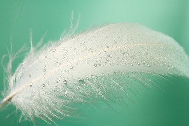 Photo of Fluffy white feather with water drops on light turquoise background, closeup